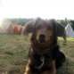 Fotografie z akce: tábor 2008