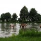Fotografie z akce: tábor 2010