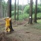 Fotky z akce: tábor 2010
