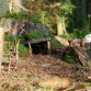 Fotografie z akce: tábor 2010