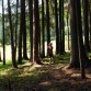 Fotografie z akce: tábor 2013