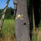 Fotografie z akce: tábor 2013