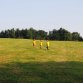 Fotografie z akce: tábor 2013