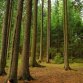 Fotografie z akce: tábor 2014