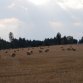 Fotografie z akce: tábor 2015