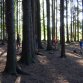 Fotografie z akce: tábor 2016