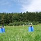 Fotografie z akce: tábor 2016