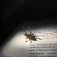 Fotografie z akce: tábor 2019
