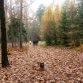 Fotografie z akce: holice
