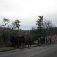 Fotografie z akce: kutná hora a sion