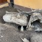 Fotky z akce: žumberk